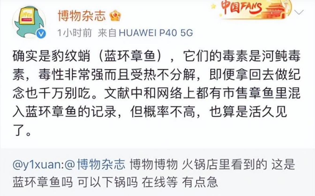 你知道什么是蓝环章鱼吗?网友吃火锅菜品中发现豹纹蓝圈