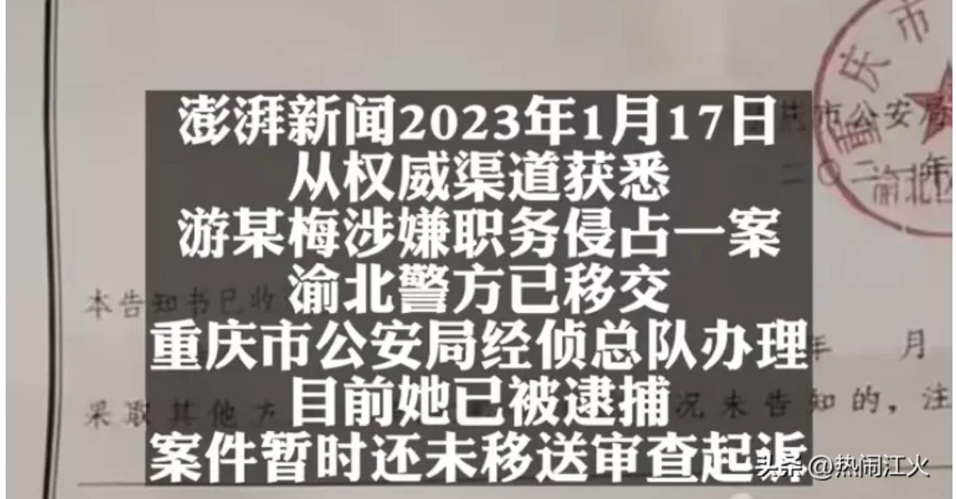 浪胃仙曾和浪味仙在抖音互撕.现创始人涉职务侵占被捕啦