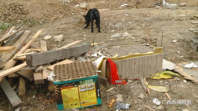 养殖场上千只鸡突然死亡,疑因隔壁物流公司燃放烟花导致