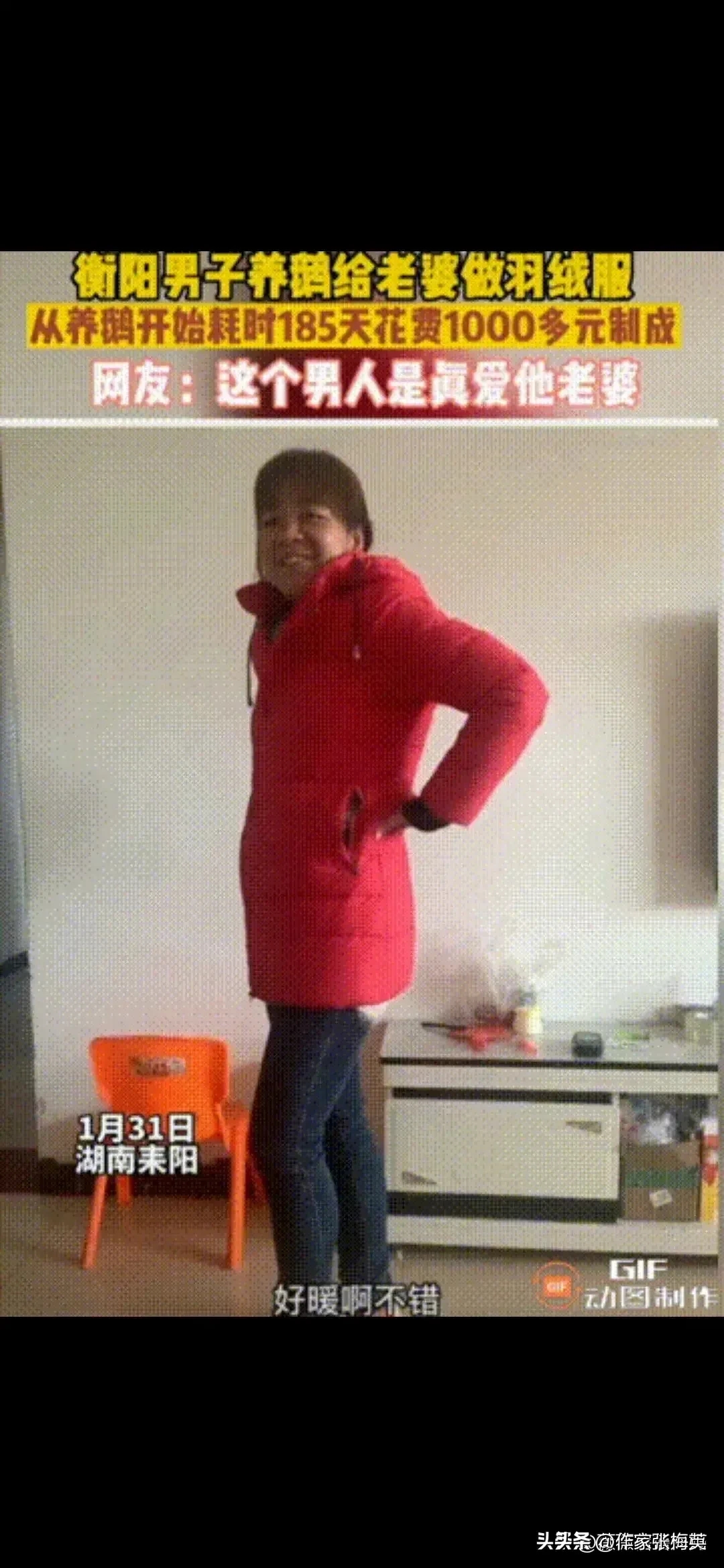 狠人啊,男子养鹅185天为妻子亲手做羽绒服这成本太大了点吧