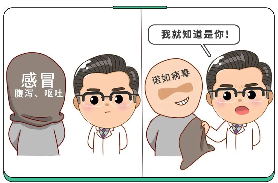 个人和家庭还有学校,这些场合如何预防诺如病毒感染方法