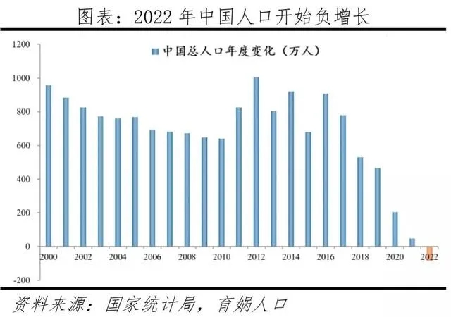 十年内中国将进入超级老龄化社会的状态.到时年轻人在哪?
