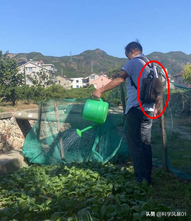 花50万安装一颗人工心脏后,没有心跳和脉搏算是正常吗?