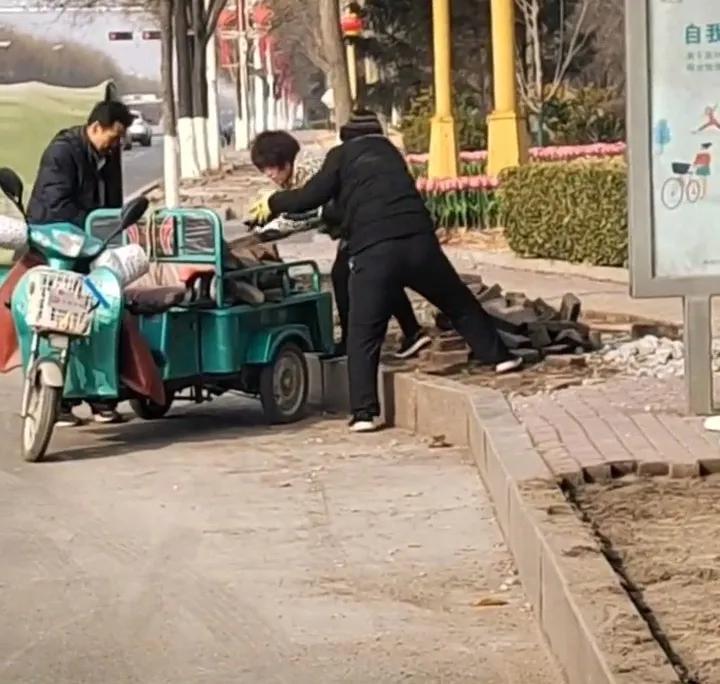 网曝多名老人白天和晚上不分时间,撬走人行道地砖后拿去卖