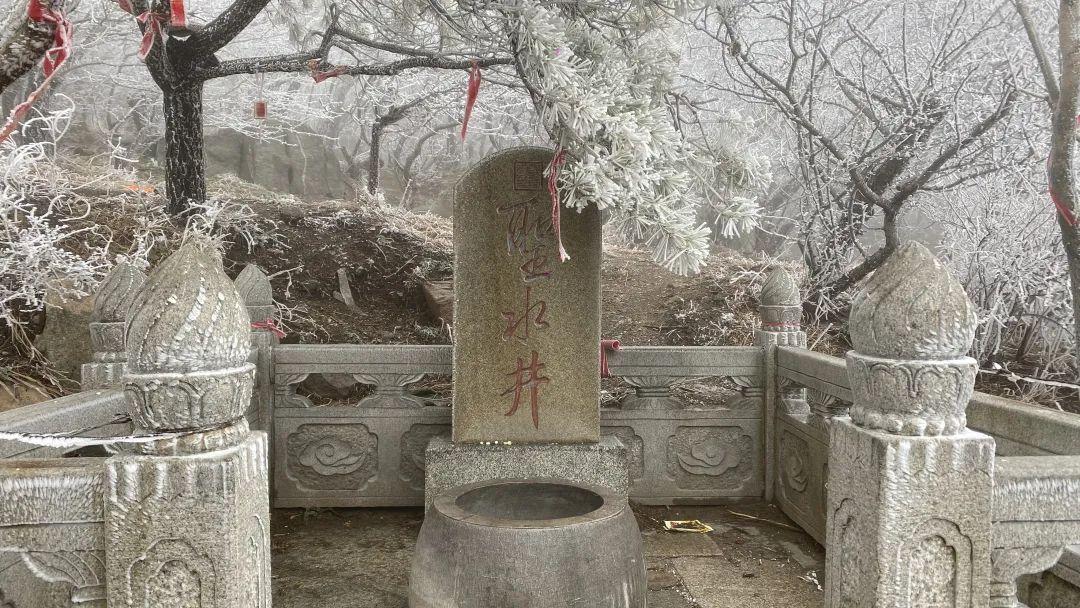 泰山之巅雨后现雾凇奇观太让人为之迷恋.玉树琼枝宛若仙境