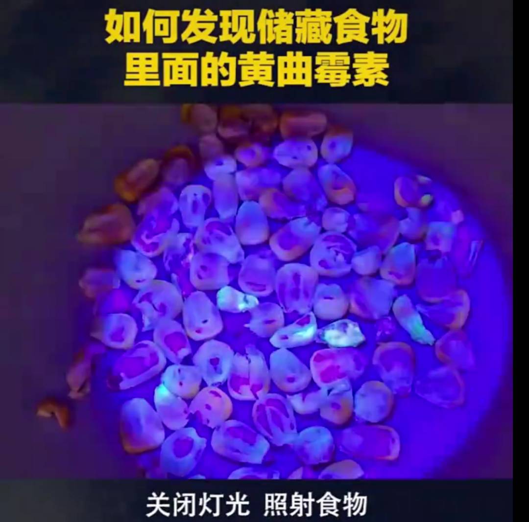 搓澡时从身上搓下的泥是什么污垢？频繁搓澡对身体好吗？