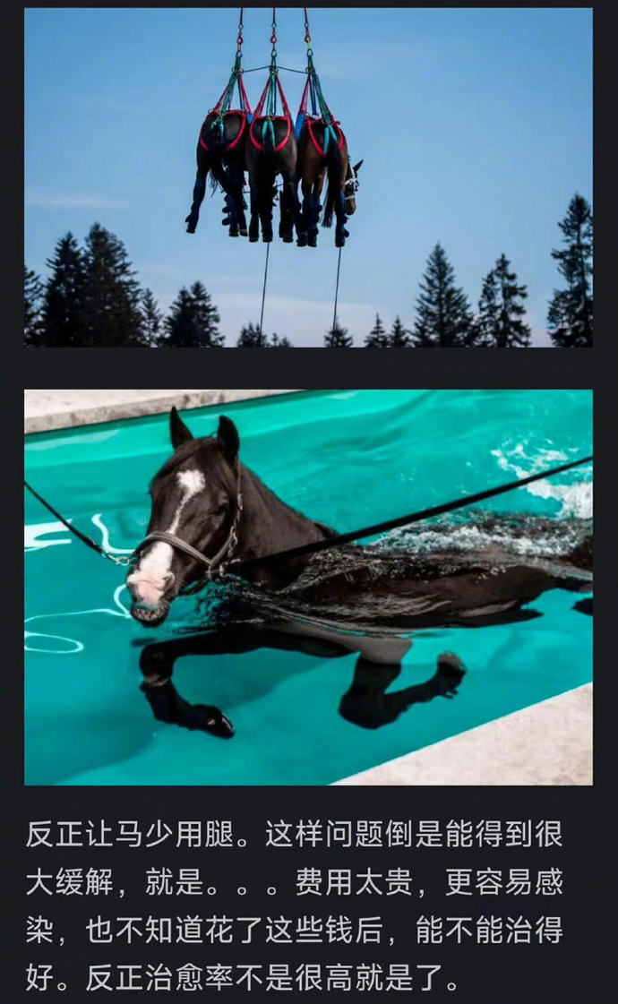 为什么马的腿断了，骨折后就必须死？