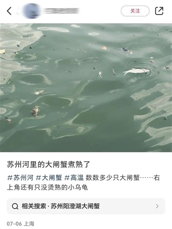 苏州河大闸蟹被煮熟？水务部门回应非高温所致