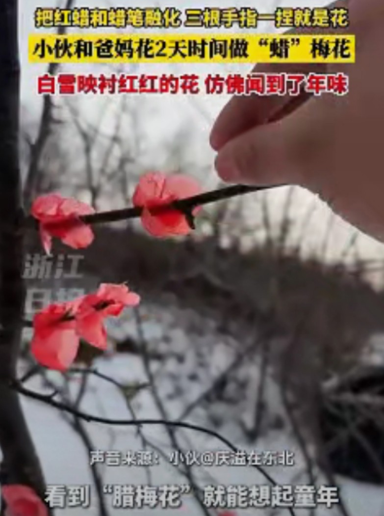 吉林小伙带女友回家见父母-假腊梅背后的温情故事让人泪目