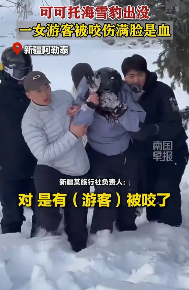 可可托海女游客无视警告凑近雪豹拍照，惨遭毁容式攻击