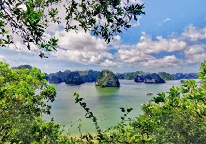 老了才懂:最佳旅行不是游山玩水,而是慢镜头里的烟火人生